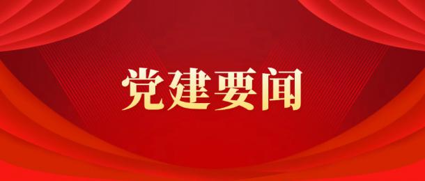 三峰卡萬塔公司召開黨委理論學(xué)習(xí)中心組（擴(kuò)大）2025年第4次學(xué)習(xí)會(huì)暨深入貫徹中央八項(xiàng)規(guī)定精神學(xué)習(xí)教育第2次讀書班